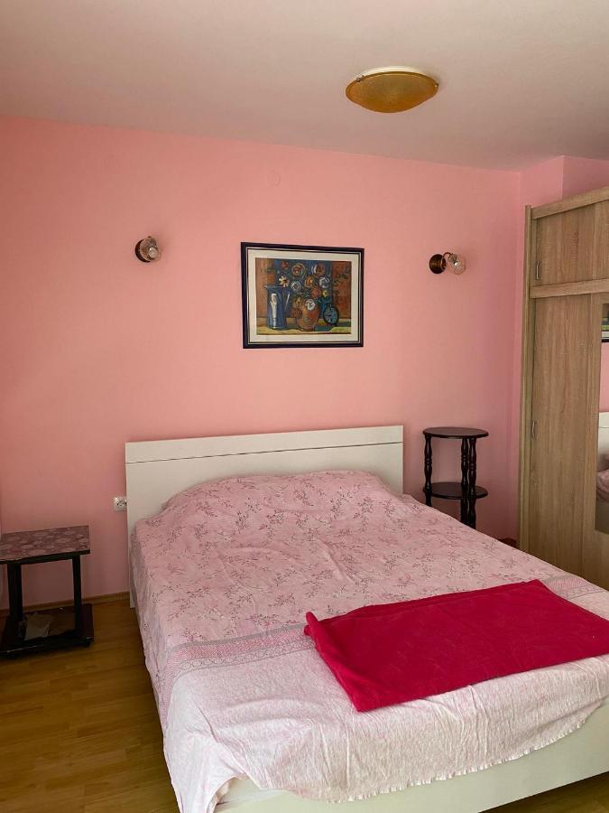 Guest House Trajkovic ヤゴディナ エクステリア 写真